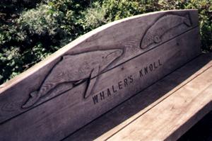 Bench with whale carving